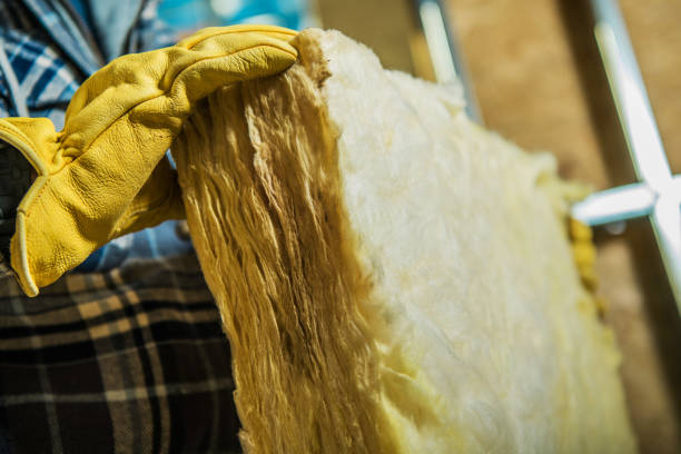 Best Insulation Removal  in Waterville, OH